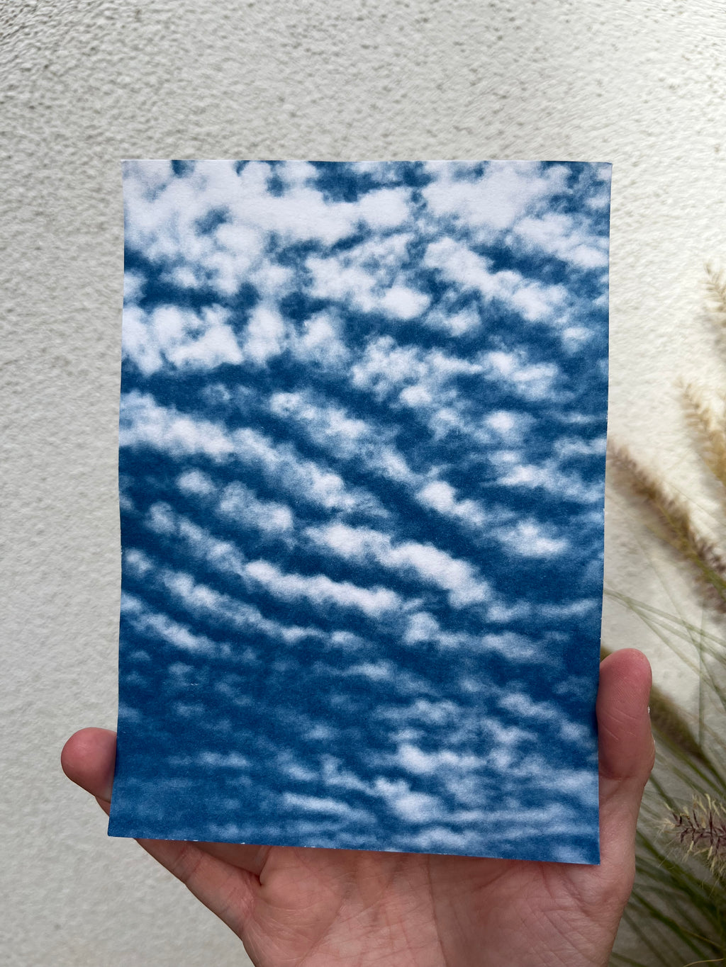 Cyanotype #1 - Clouds (small)