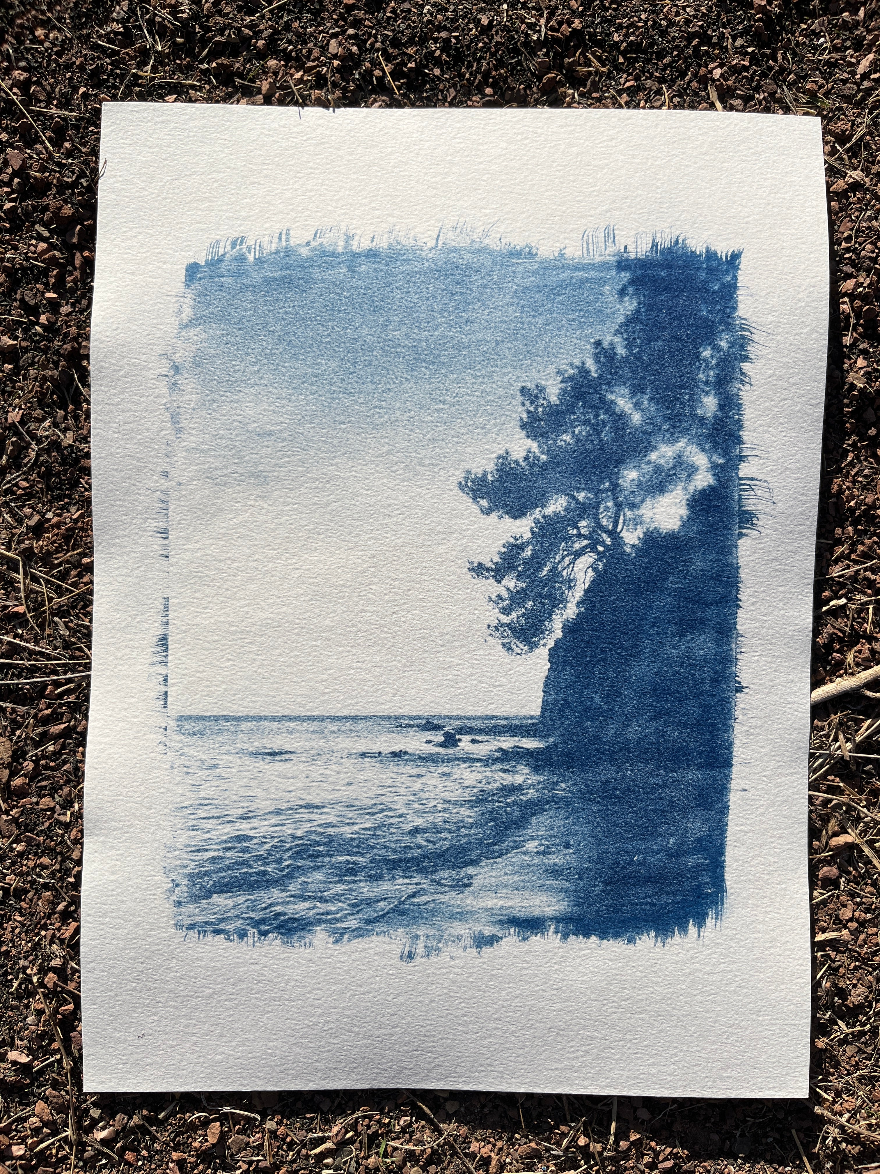 Cyanotype #2 - Sea Shore