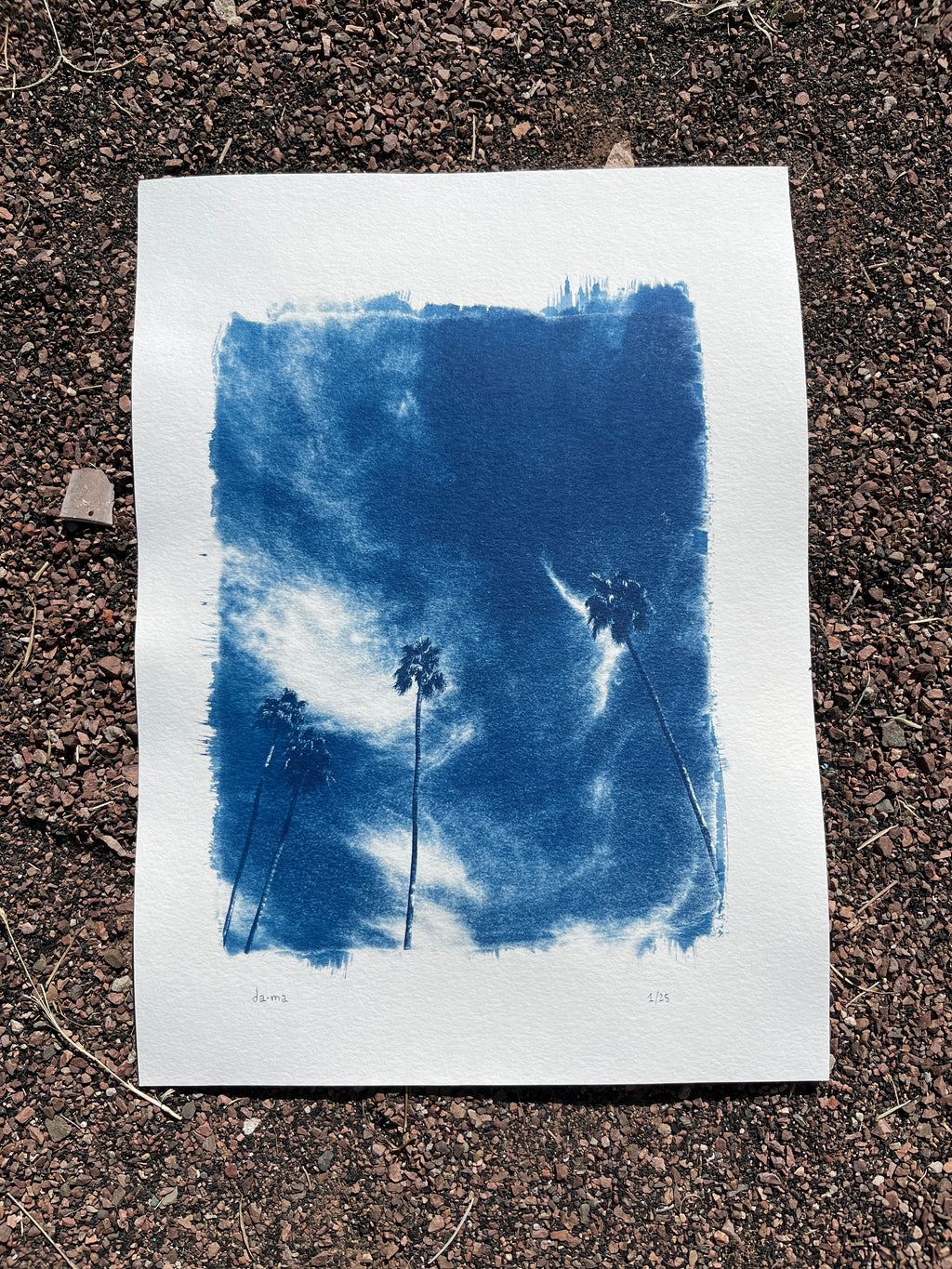Cyanotype #2 - Palm Trees