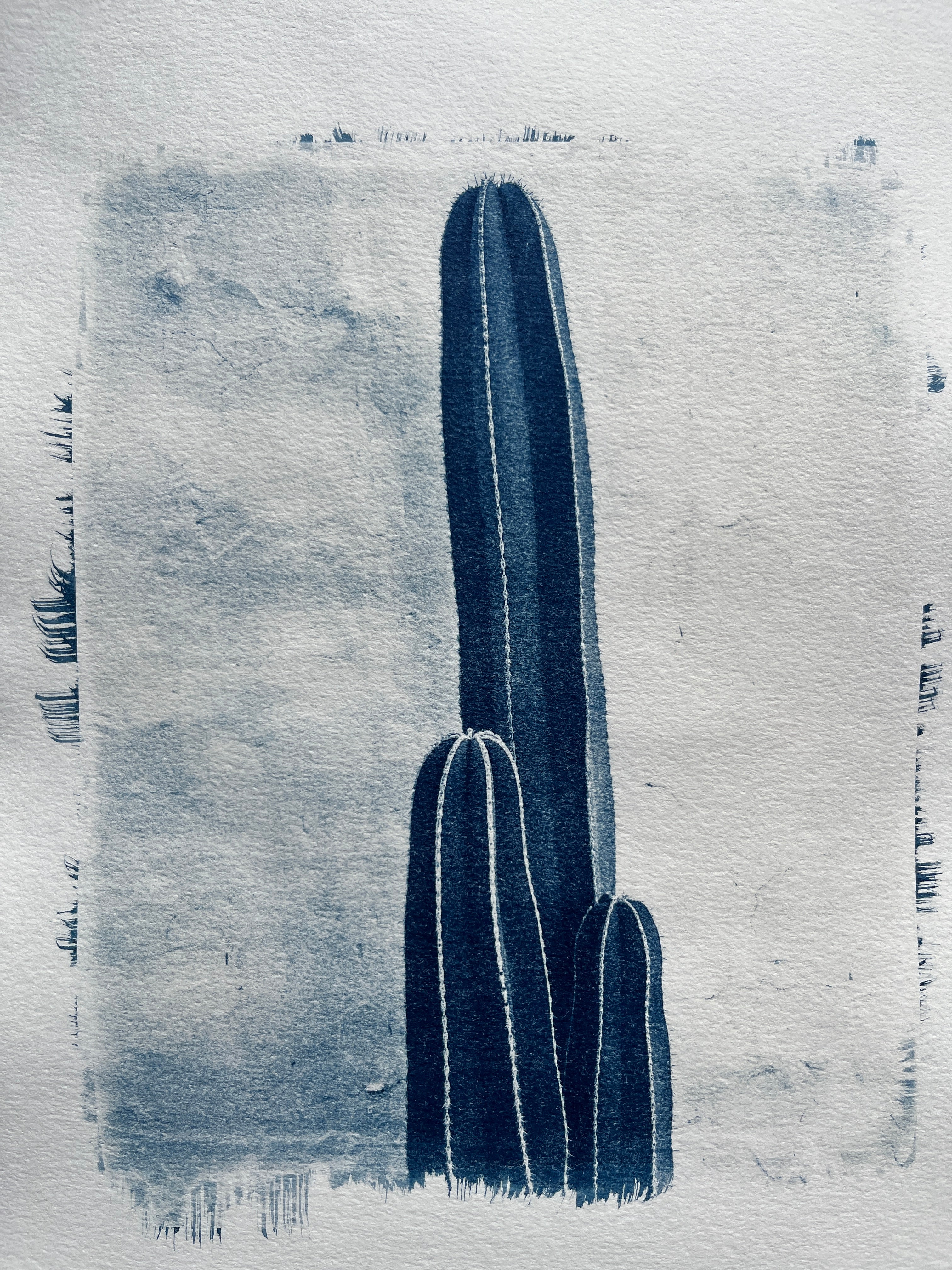 Cyanotype #2 - Cactus