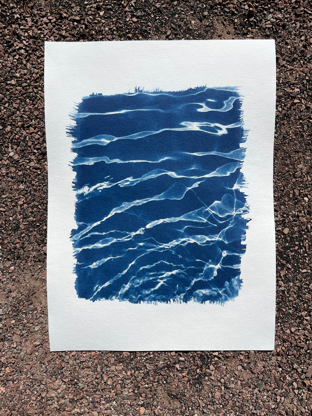 Cyanotype #2 - Water