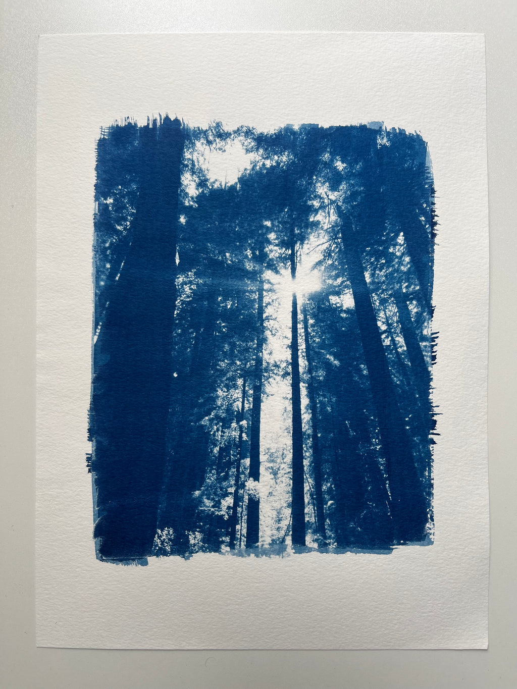 Cyanotype #1 - Light