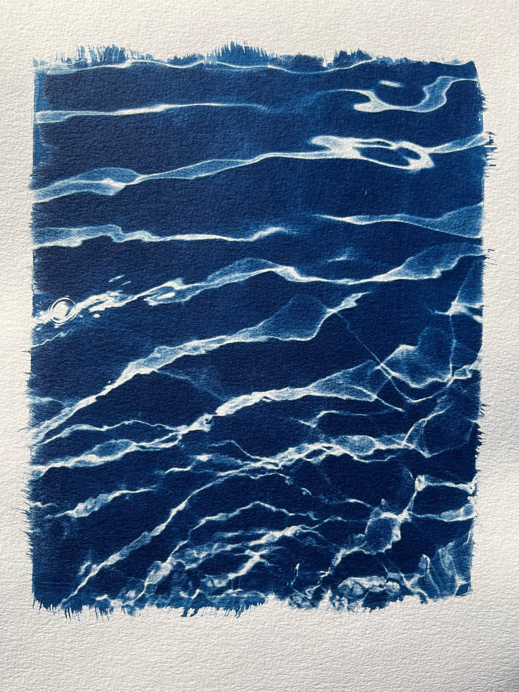 Cyanotype #2 - Water