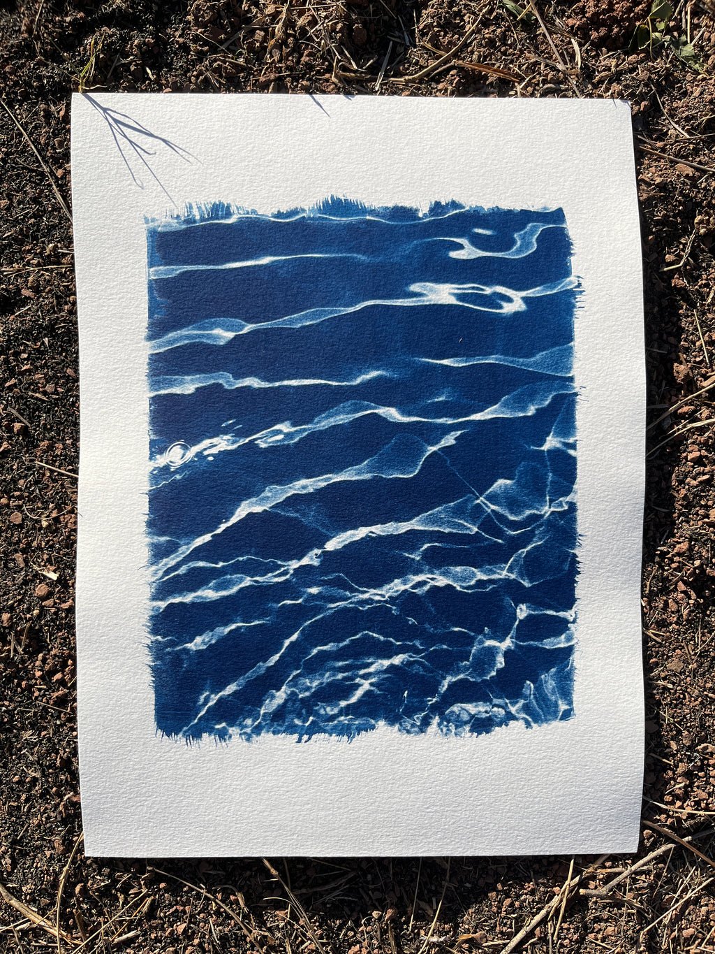 Cyanotype #2 - Water