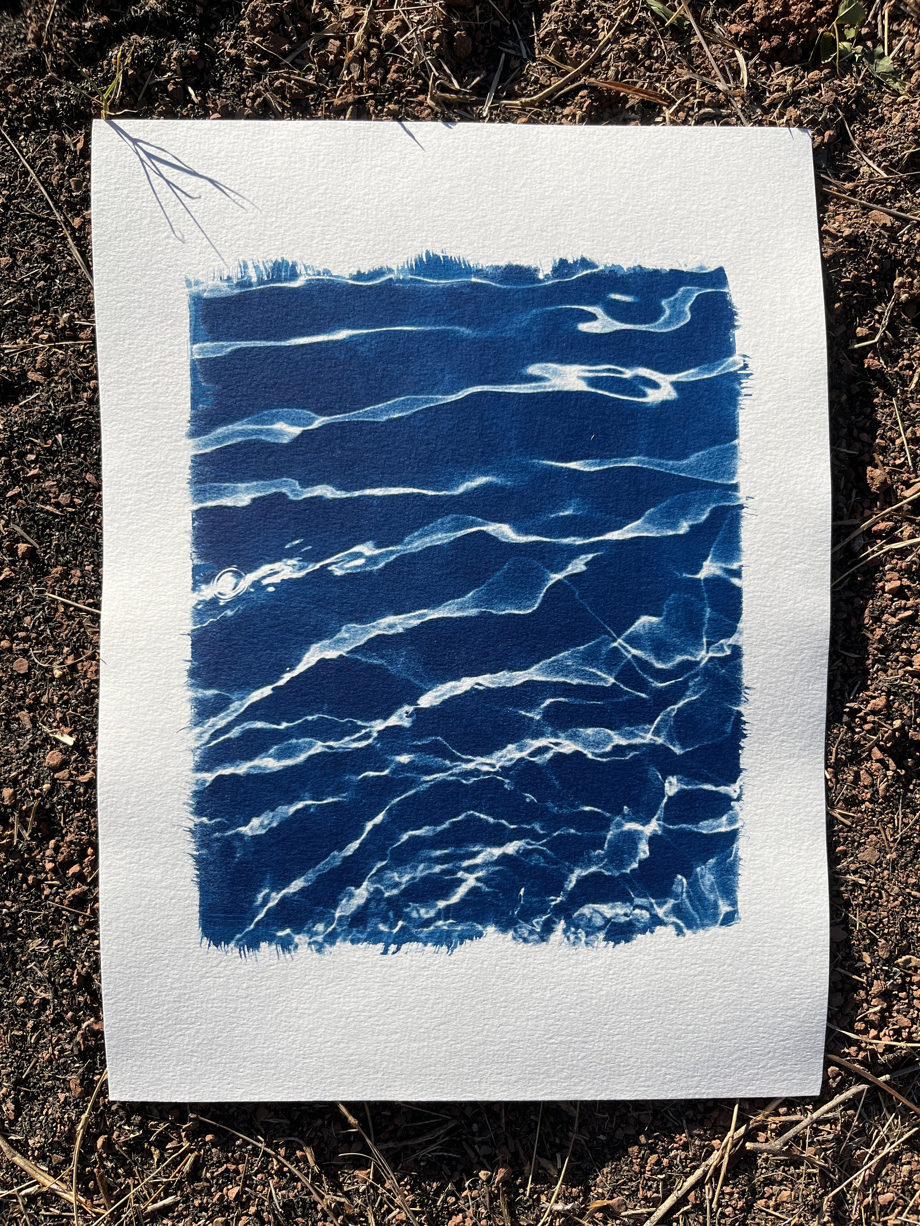Cyanotype #2 - Water
