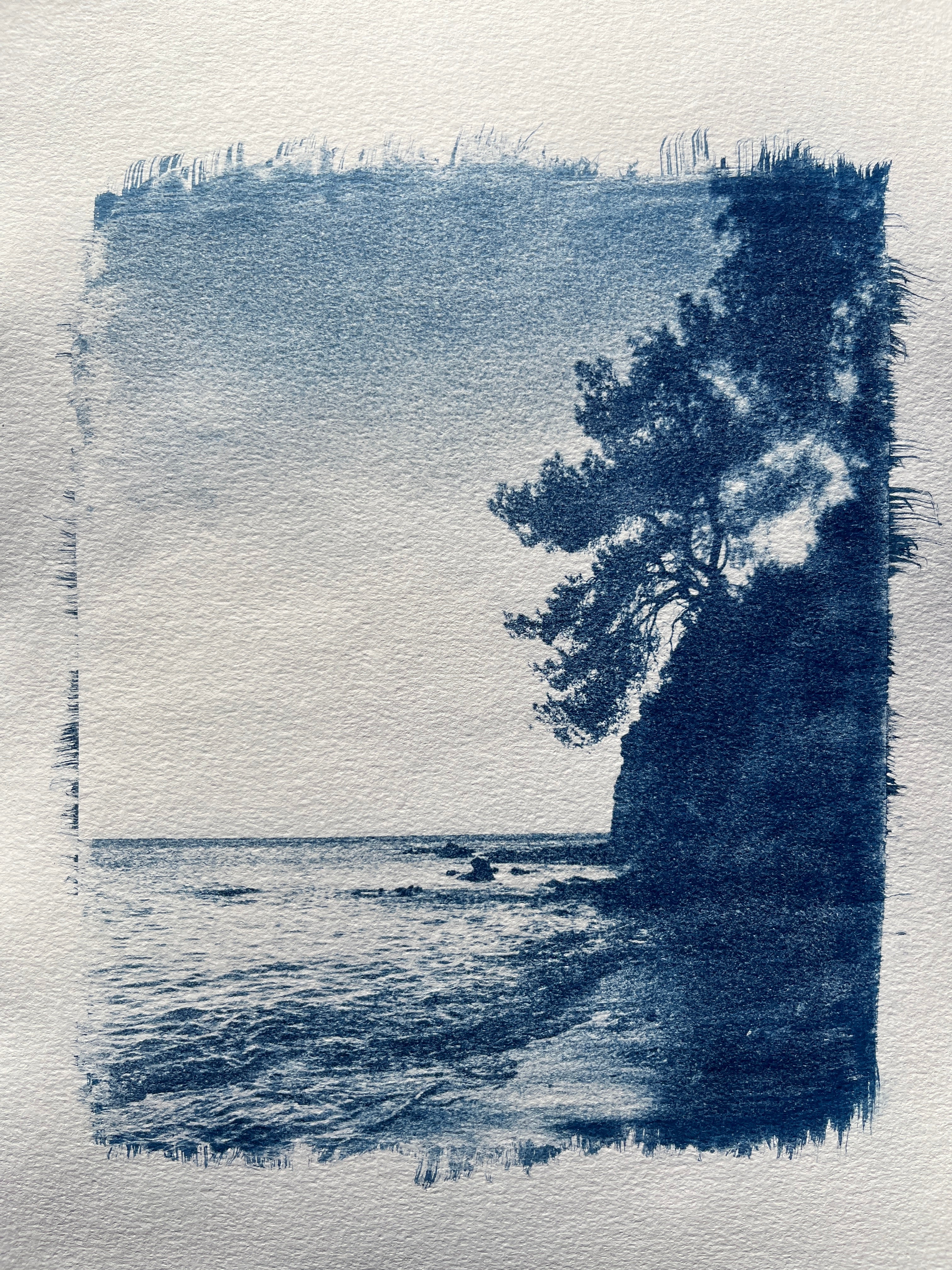 Cyanotype #2 - Sea Shore