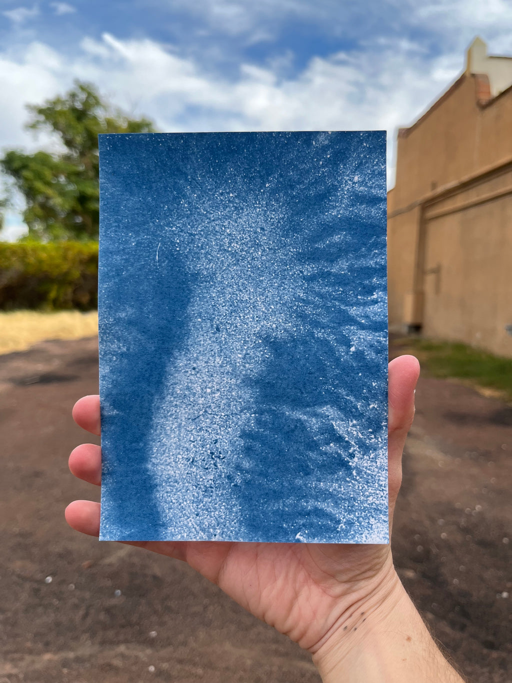 Cyanotype #1 - Abstract (small)