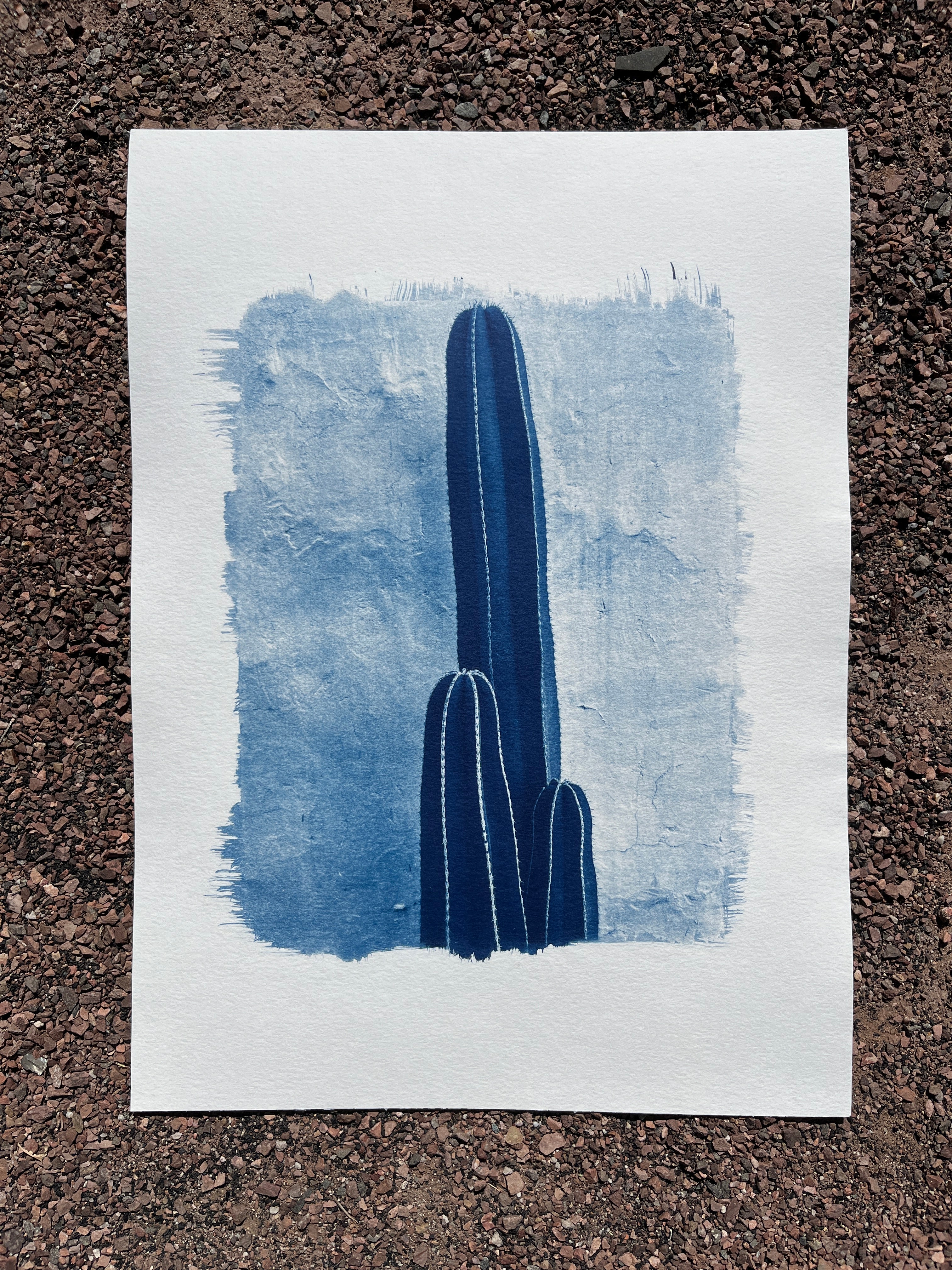 Cyanotype #2 - Cactus