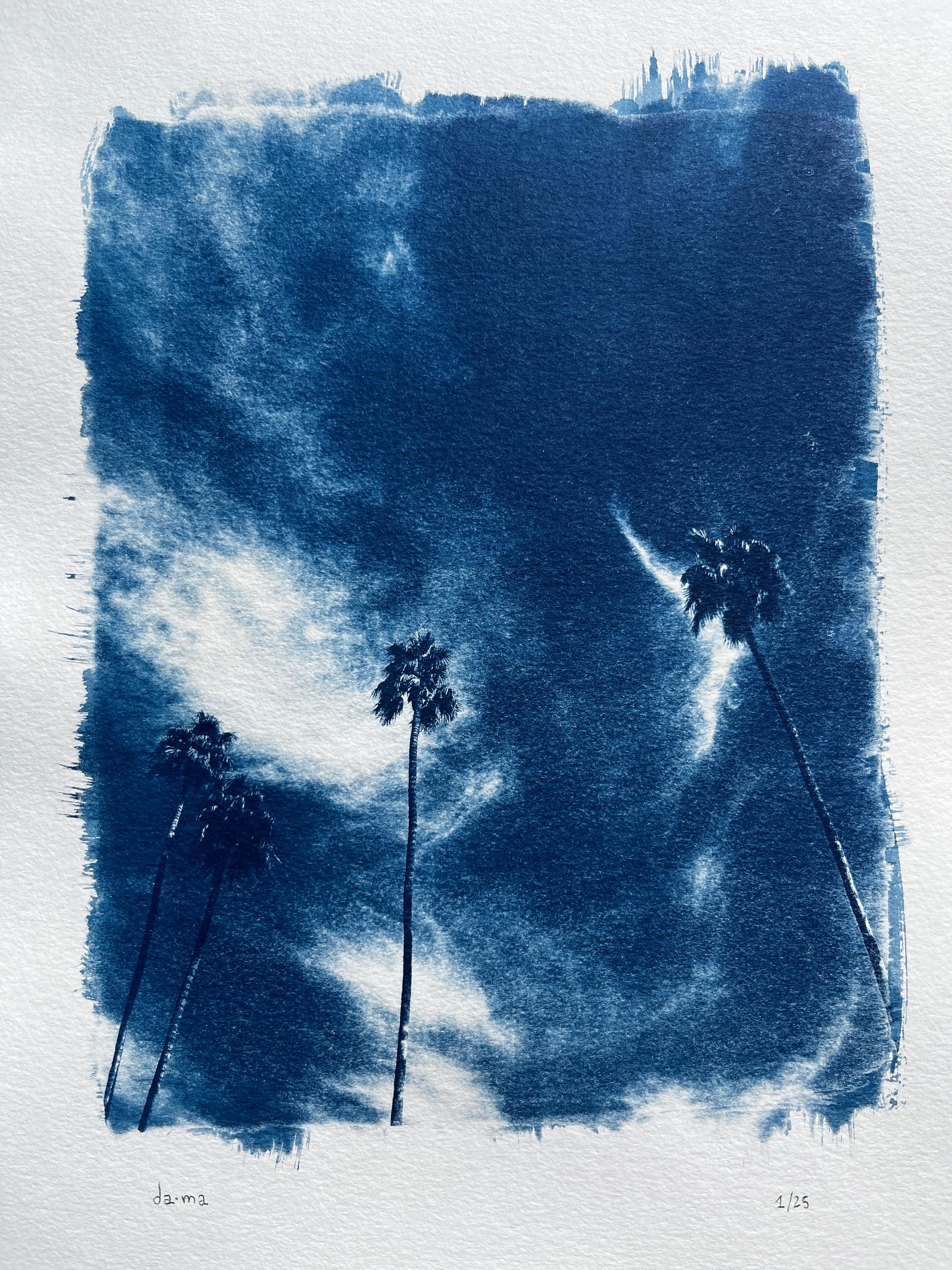 Cyanotype #2 - Palm Trees