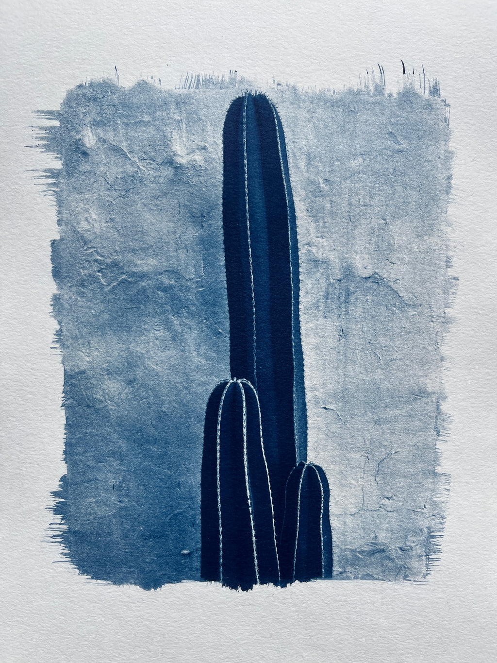 Cyanotype #2 - Cactus
