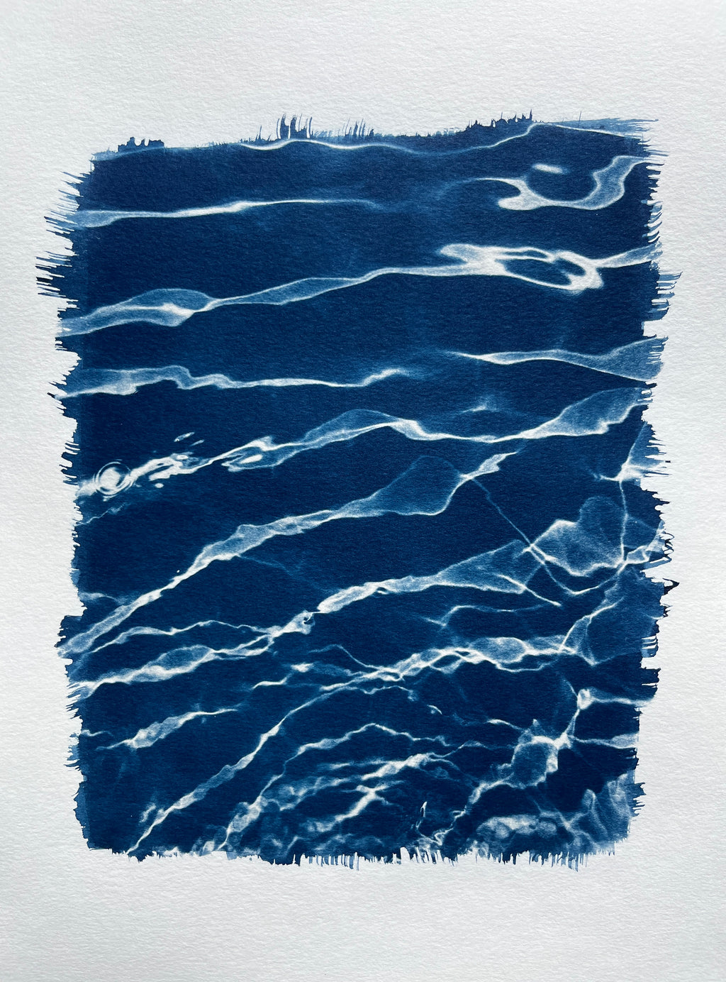 Cyanotype #2 - Water