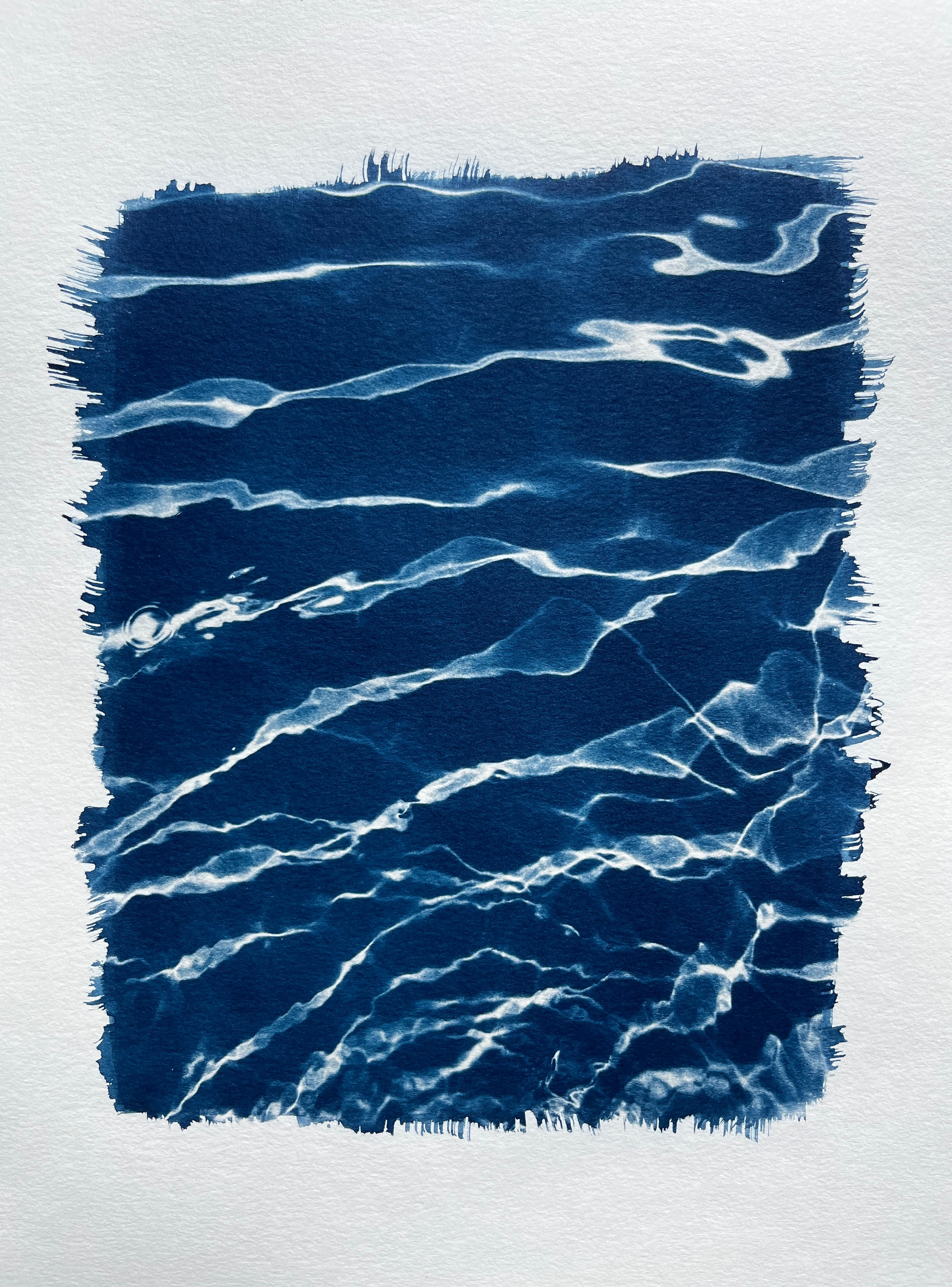 Cyanotype #2 - Water